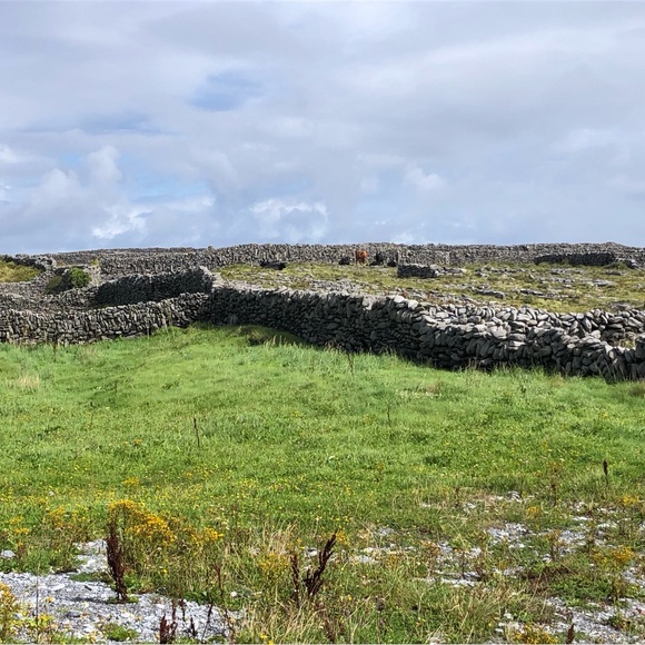 Meet your Posher, Lynn - Picture 1 of 1